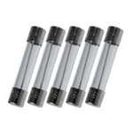 DIGITAL SECURITY CONTROLS 1A-2AG 1 Amp fuse (2 AG,