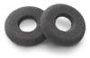 Doughnut Ear Cushion (Set Of 2)