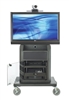 Avteq Cart Supports One           Vendor        863                           Display Up To 52",Steel